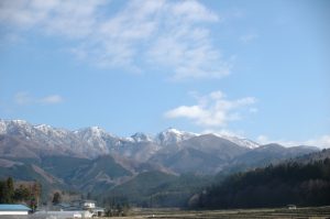 太平山写真・春1