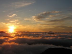 太平山写真・夏1