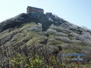 太平山写真・冬1