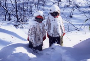 太平山写真・冬4